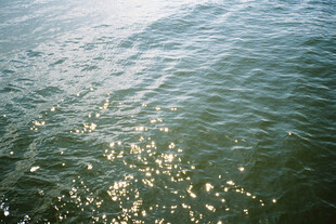 波光粼粼的水面