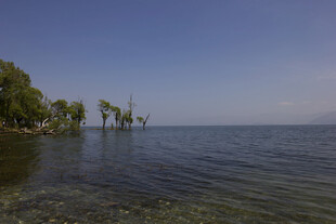 湖畔风光 静谧湖水与绿树