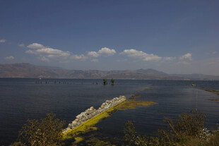 湖畔风光 宁静水域景致