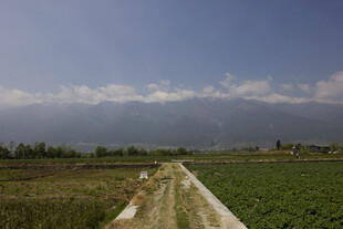 田园风光中的乡间小路