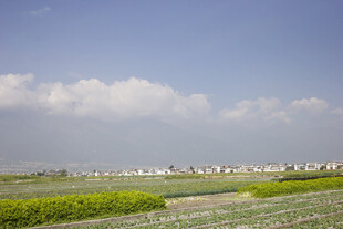 田园风光 绿野与远村
