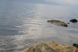 海边礁石 静谧水面景致