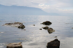 宁静湖面中的嶙峋礁石
