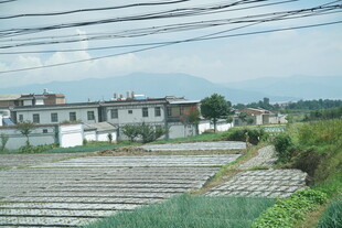 乡村田园风光 宁静村落