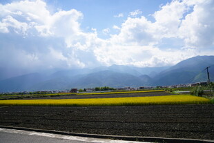 田野风光 蓝天白云下的美景