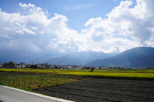 乡村公路边的田园风光
