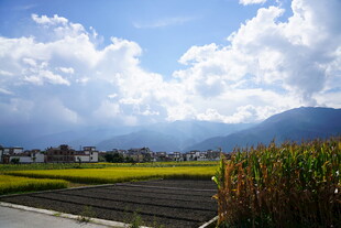 田园风光下的蓝天白云美景