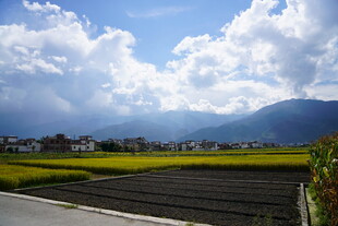 田园风光 蓝天白云下的美景