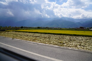 公路边的田野与远山风景