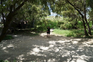 林间小道上的独行者