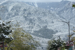 雪覆山峦 林木点缀