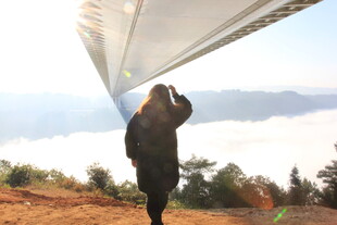 女子赏云海美景