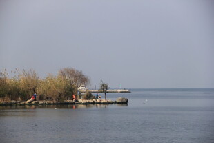 湖畔小船与岸边树木景致