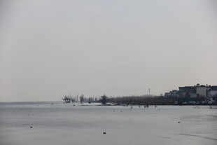 海边景致 远处建筑与水域