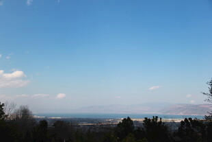 蓝天绿树间的开阔远景