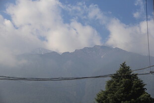 山间云景与挺拔树木