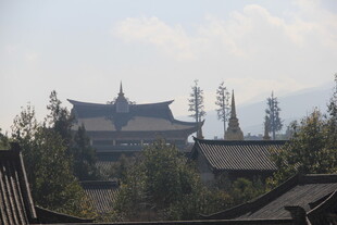 中式古建筑群隐于林木间