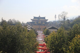 古建前的繁花通道