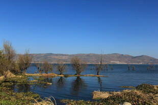 湖畔风光 静谧自然之景