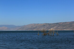 宁静湖景与远处山峦