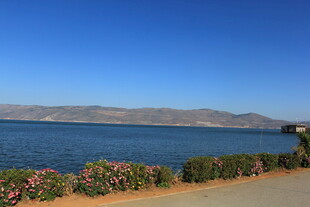 湖畔美景 繁花伴碧水蓝天