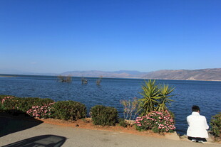 湖畔美景 一人静赏风光