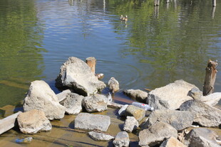 河边散落的大小石块