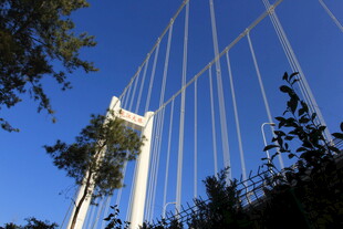 仰视下的现代桥梁景观