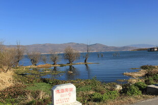 湖畔风光 宁静水边景致