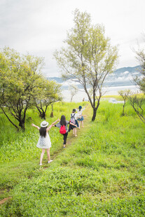 户外徒步小队穿行绿意间