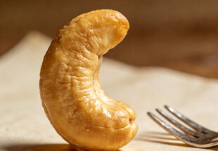 一颗站立的腰果