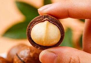 手拿剥开的夏威夷果
