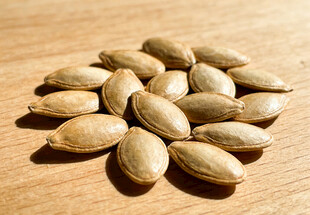 一堆香榧子摆放在木桌上