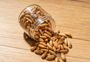 玻璃罐中洒落的松子