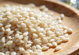 木盘里的饱满白糯米