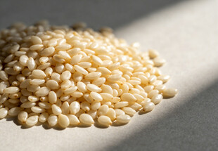 一堆白芝麻特写