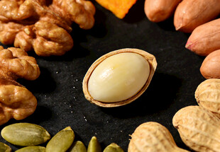 多样坚果大集合