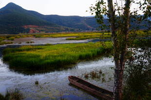 山间河畔的静谧风光
