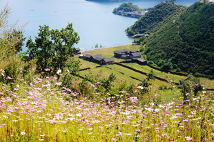 山间繁花伴湖景风光