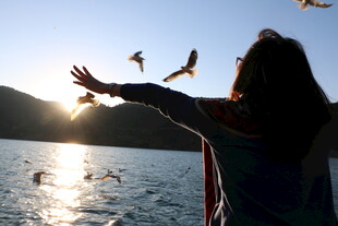 少女湖畔与飞鸟共舞