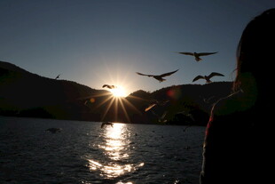 湖畔夕阳飞鸟剪影美景