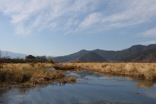 宁静河畔的自然风光