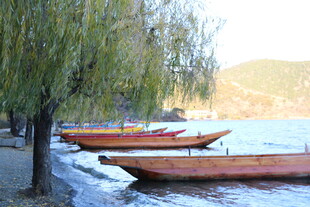 岸边停泊的多彩小船