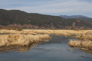 河畔枯草与远山风景