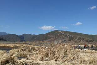 山野间的枯黄草地与远山