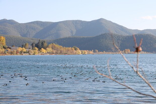 湖畔山水间的宁静景致