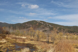 秋日山间荒野风景