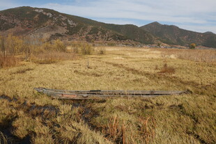 秋日旷野中的荒芜景象