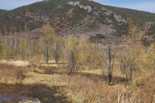 秋日山间旷野风景