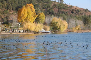 秋日湖畔美景